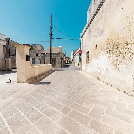 Salenthea 梅尔皮尼亚诺